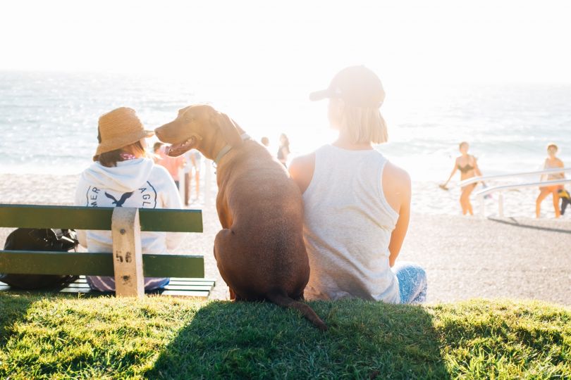 Man and a dog relax near water