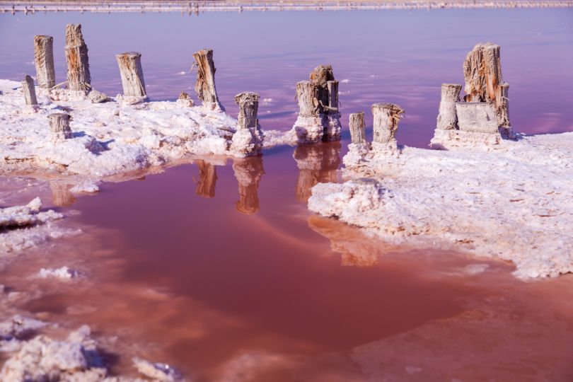 lake with pink water and salt crystals on shore