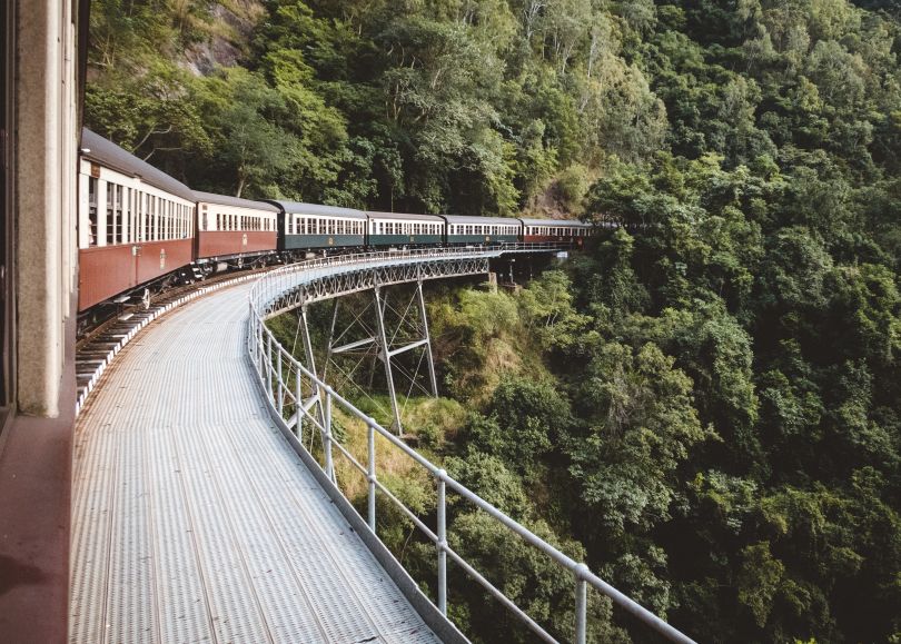 train on high bridge in forest