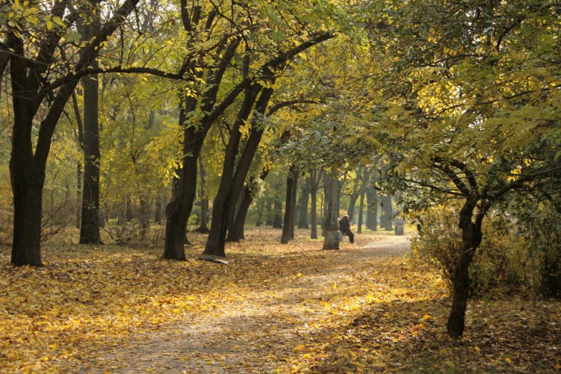 Autumn park in Odesa