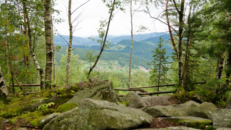 mountain view from wooded hill