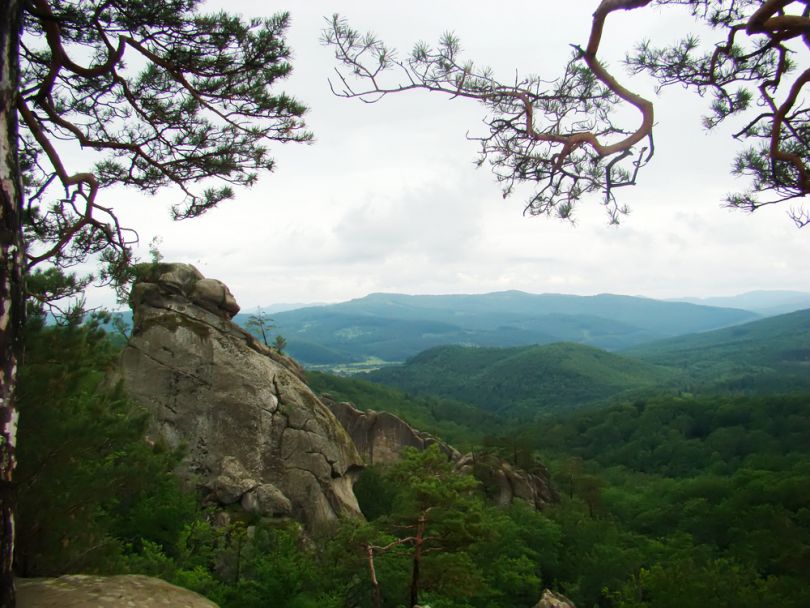 beautiful view over forest and rock