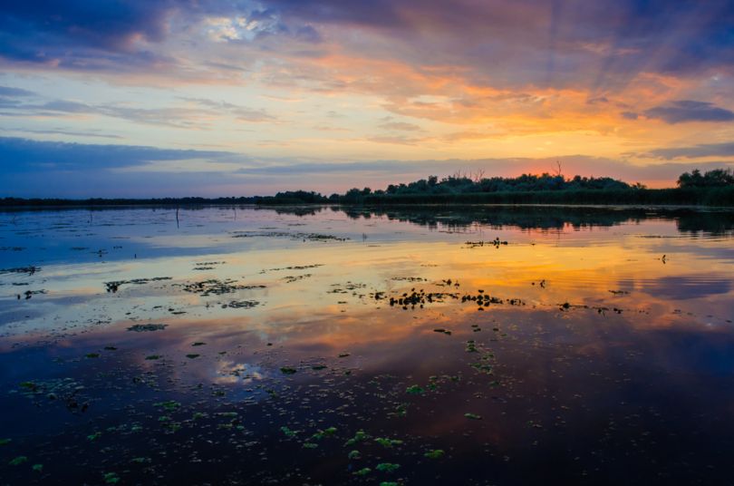 Danube Biosphere Reserve