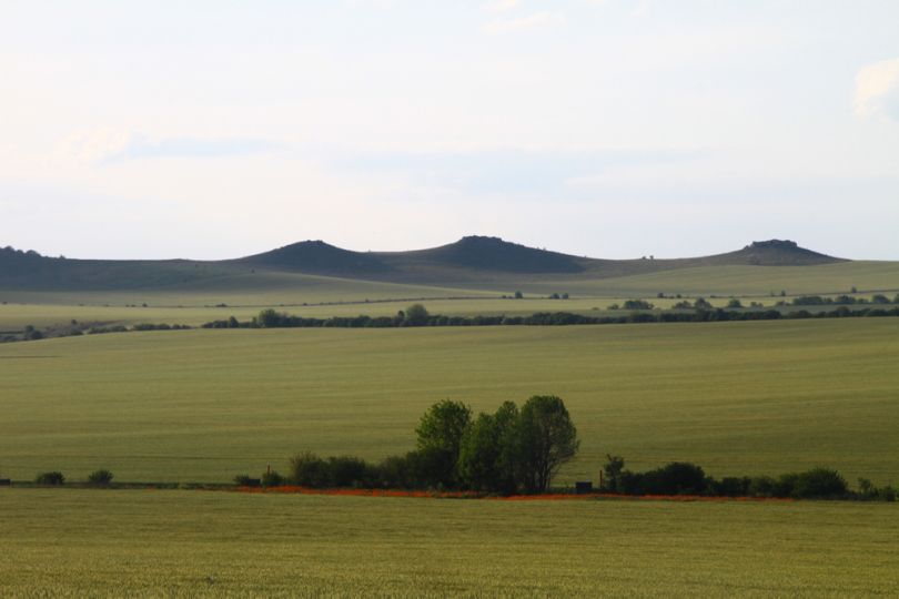 Medobory Natural Reserve