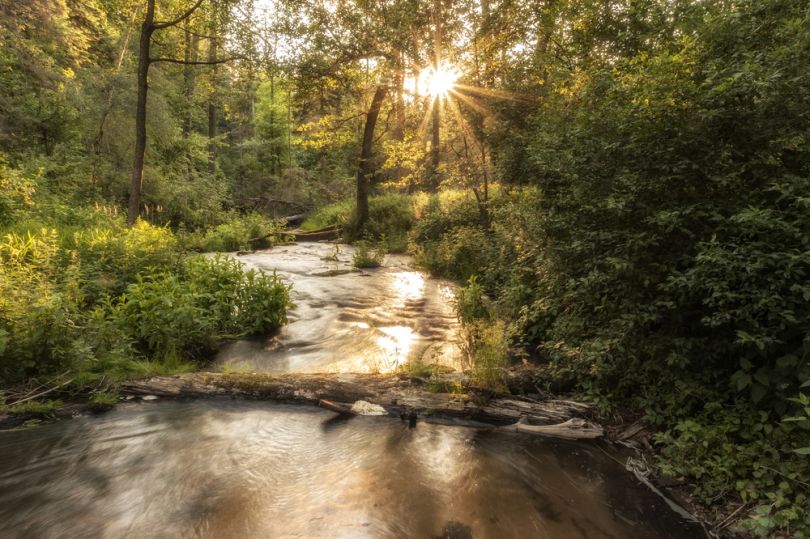 Roztochya Biosphere Reserve