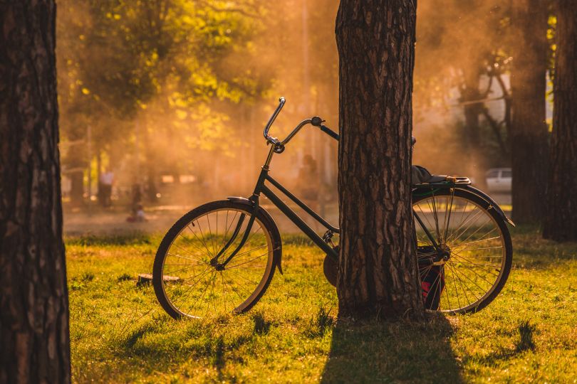 Bicycle in autumn