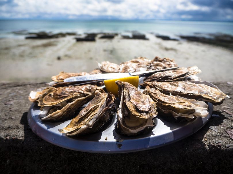 Oysters and seaview