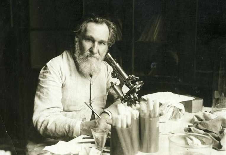 Ukrainian scientist Illia Mechnykov