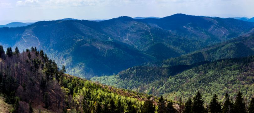 The Carpathian National Natural Park