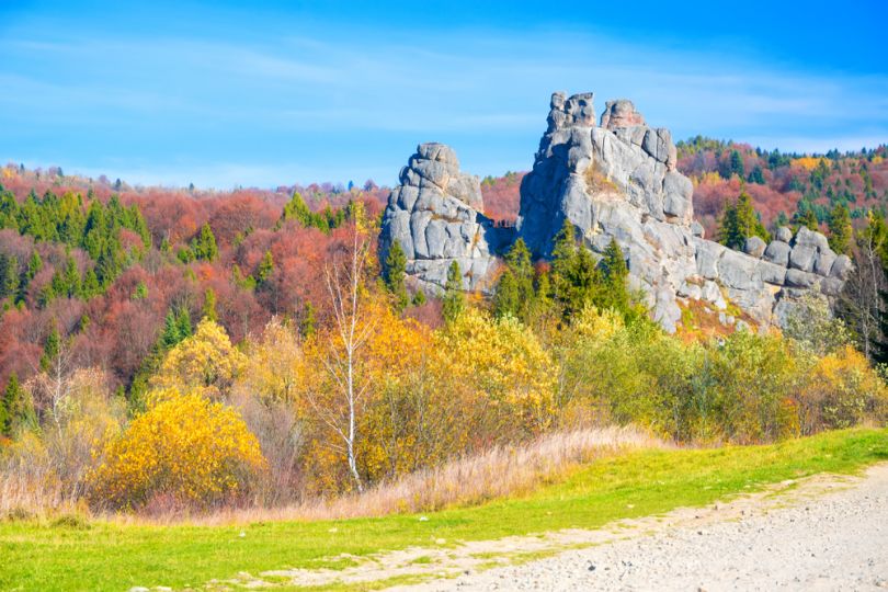 rocks surrounded by forest