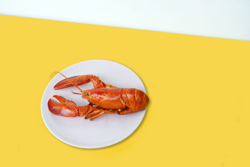 Lobster on a plate