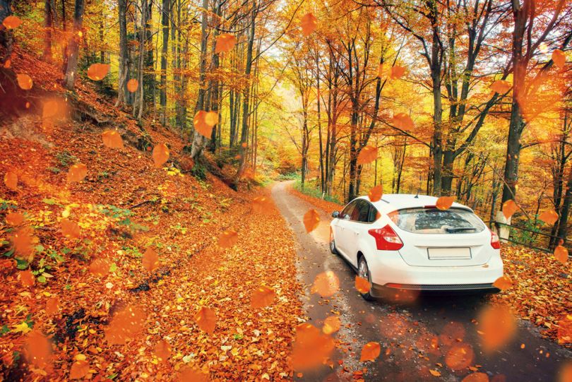 Car at autumn road