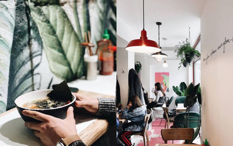 Noodles and cafe with plants 