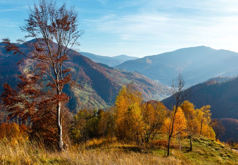 Carpathian Biosphere Reserve in autumn