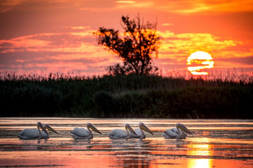 Danube Delta