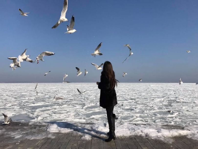 Girl feeding seagulls in winter