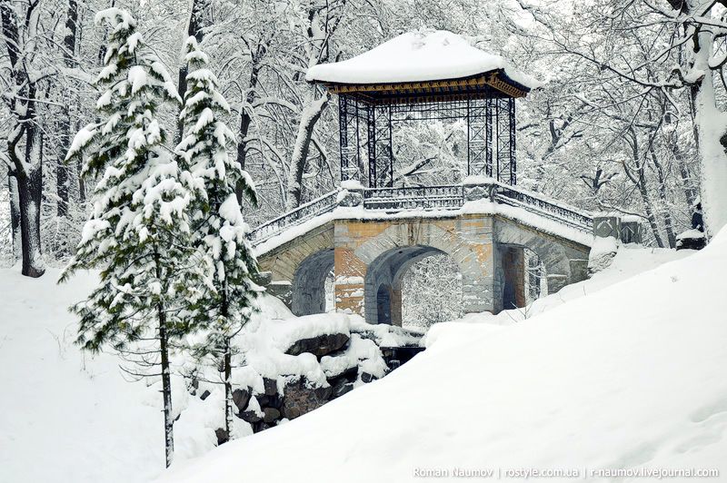 Arboretum in Bila Tserkva in winter