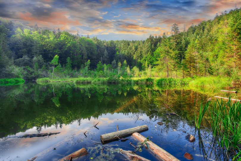 Lake in the Skole National Park in Ukraine