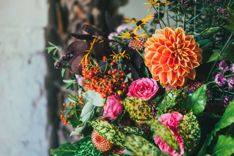 composition with flowers and berries