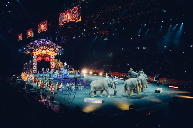 Circus performance