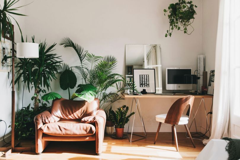Light apartment with plants