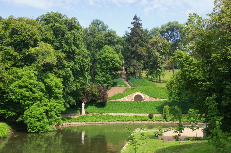 lake surrounded by greenery